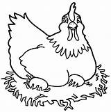 Galinha Pintar Hen Chicken Imagem sketch template