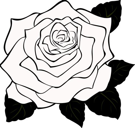 white rose clip art vector clipart panda  clipart images