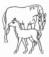 Horse Coloring Pages Baby Colouring Comments sketch template