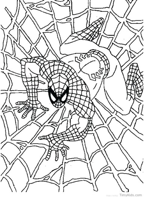 spiderman spider drawing  getdrawings