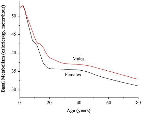 Normal Basal Metabolic Rates At Different Ages For Each Sex [12