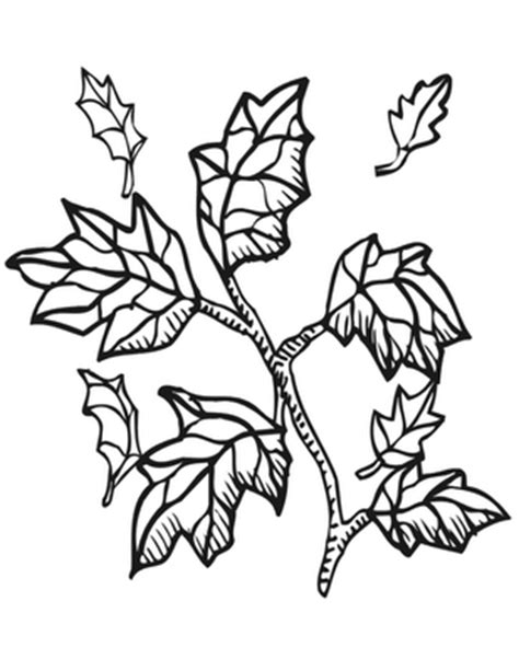 thanksgiving fall coloring pages