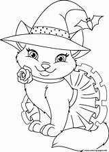Halloween Coloring Witch Cat Pages Printable Info Book sketch template