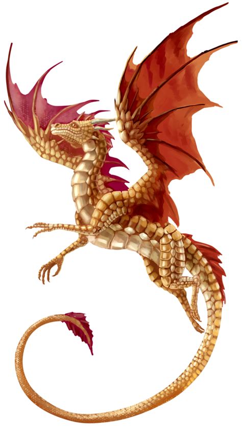 dragon png transparent   cliparts  images  clipground