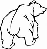 Bear Grizzly Coloring Pages Outline Bears Clipart Angry Cubs Printable Supercoloring Clipartbest Looks Color Categories Drawings sketch template
