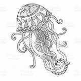 Coloring Mandalas Jellyfish Qualle Malvorlagen Zentangle Kostenlos Erwachsene Ausmalbild Heilige Geometrie Symbole Ausdrucken Zendoodle sketch template