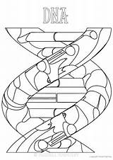 Dna Colouring sketch template
