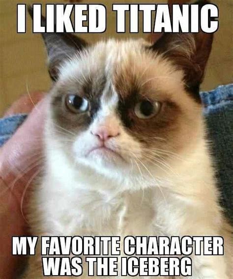 Some Of The Best Grumpy Cat Memes On The Internet Viral