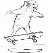 Skateboard Skateboarding Entitlementtrap Kostenlos Marvelous Malvorlagen Ausmalbilder Ausmalen Boy Trick Mandala Shelley Degroat Rotner sketch template