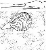 Clam Coloring Giant Pages Cockle Printable Getdrawings Drawing Supercoloring Results Categories sketch template