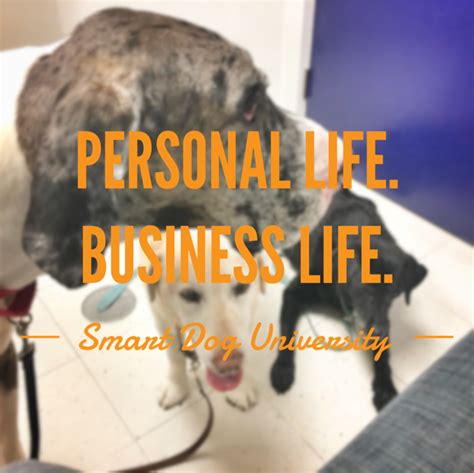 personal life business life   blends   smart