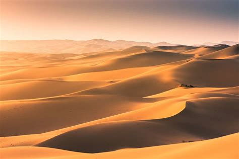desert dunes breathe   inhale air geographical