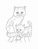 Colorat Pisica Planse Desene Pisici Mici Animale Domestice Imagini sketch template