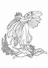 Kleurplaten Fee Feeen Elfen Fairies Feeën Kleurplaat Volwassenen Coloriages sketch template