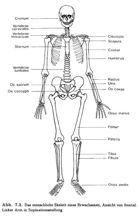 ringvorlesung umweltgeschichte