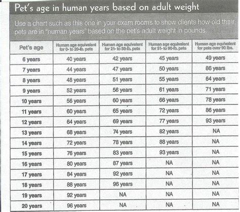 pet aging charts images  pinterest cat years kitty cats  pets