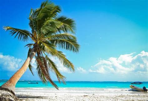die palme ist ein hit playa paraiso tulum reisebewertungen tripadvisor