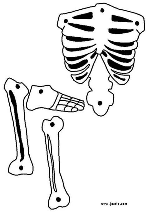 printable skeleton template clipart