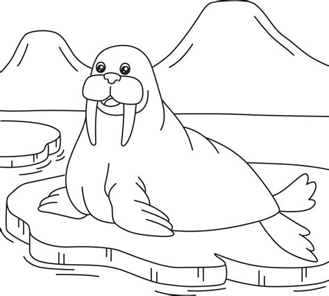 walrus coloring page  kids  vector art  vecteezy