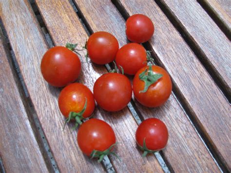 cherry tomatoes santorini net