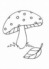 Mushroom Funghi Hongos Fungo Colorear Mushrooms Stampare Pianetabambini Indiaparenting Champignon sketch template