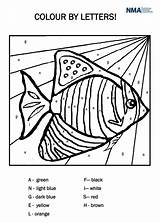 Numbers Colour Fish Angel Kids Angelfish Colouring Sheet sketch template