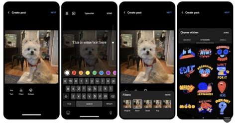 youtube brings photo editing quizzes  community posts