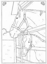 Manege Ausmalbilder Paarden Paard Stall Pferde Reitschule Fun Moeilijk Malvorlagen Mandala Tekeningen Altijd Eerst Leukste Animaatjes Kidswoodcrafts Bezoeken sketch template