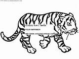 Tigre Colorier Masque Coloriage Ninos sketch template