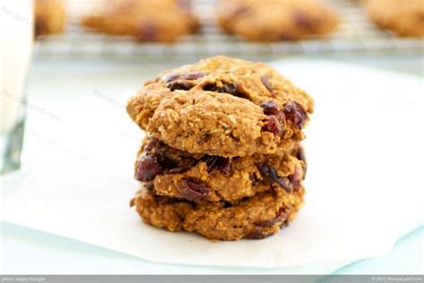 oatmeal  dried cranberry cookies recipe