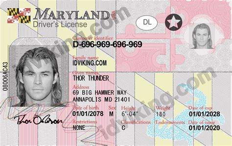 maryland md drivers license psd template  idviking  scannable fake ids
