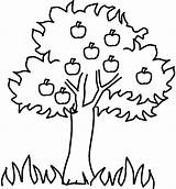 Coloring Fruit Tree Trees Clipart sketch template