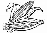 Corn Coloring Large sketch template