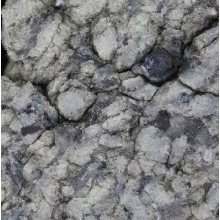 meteorite martienne shergotty classens collection