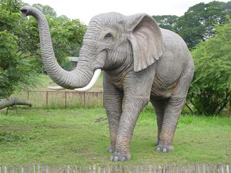 Chopshop Elephants Trunk