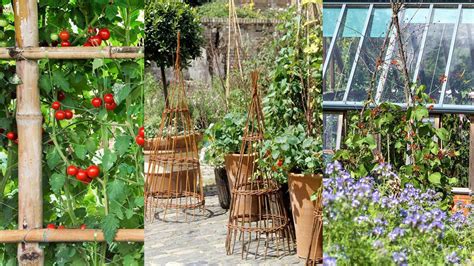 vegetable garden trellis ideas  ways  maximize  home harvest