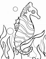 Seahorse Seaweed Swimming Coloring Around sketch template