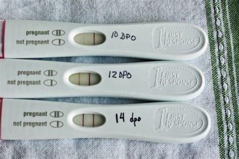 Can You Get A Positive Pregnancy Test After A Week Pregnancywalls