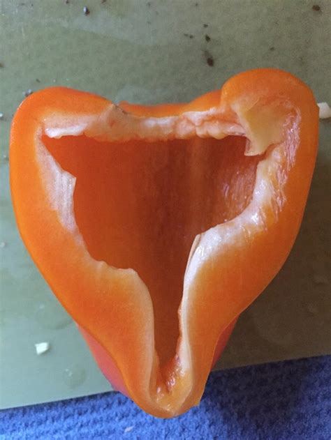 this bell pepper looks like the shape of a female