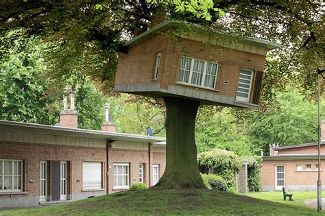 dintre cele mai spectaculoase case  copac din lume