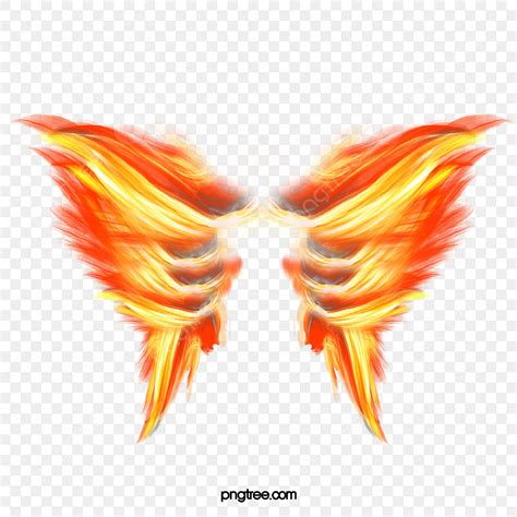 top  wings  fire backgrounds wallpaper quotes