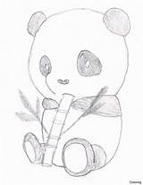 Panda Coloring Cute Pages Baby Pandas Drawing Eating Bamboo Printable Kids Cartoon Getdrawings Color Tech High Print Anime Animal Getcolorings sketch template