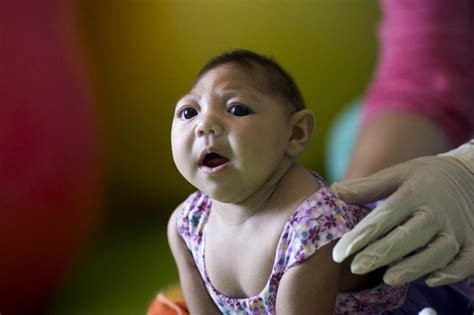 delayed onset damage  zika      year  birth genetic literacy project