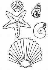 Coloring Pages Shell Shells Sea Starfish Print Book Fish Seashells Stencils Mosaic Sketches sketch template