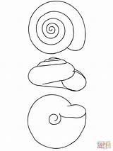 Snail Coloring Shell Pages Drawing Printable Color Puzzle Getdrawings sketch template