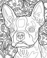 Coloring Dog Pages Book Breed Books Dogs Cleverpedia Breeds Color Beautiful Adult Adults Puppy Sheets Doodle Print Wild Getdrawings Printable sketch template
