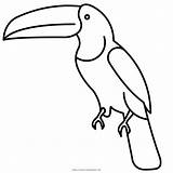Toucan Tucan Beak Ausmalbilder Pngwing Ultracoloringpages Prints W7 Kids Fidget Spinner Clipartkey sketch template