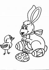 Coniglio Disegno Coniglietto Fattoria Pasqua Uova Leprotto Didattica Coniglia Lepre Animali sketch template
