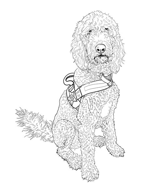 coloring pages  murphy osceola county sheriffs office sheriff