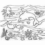 Ocean Coloring Clipart Color Pages Printable Animal Underwater Dolphin Sea Animals Clipground Ones Little Animal3 Ruins sketch template